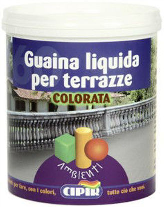 Immagine di Guaina liquida elastomerica, per impermeabilizzare e proteggere terrazze, balconi e pavimenti ml.750                                                                                                                                                                                                                                                                                                                                                                                                                