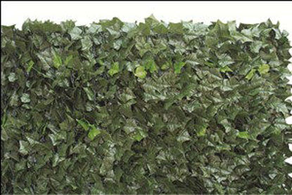 Immagine di Siepe sempreverde edera in poliestere con supporto in pvc, dimensione mt.1,5x3                                                                                                                                                                                                                                                                                                                                                                                                                                      