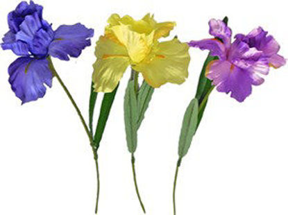 Immagine di Iris giallo cm.72                                                                                                                                                                                                                                                                                                                                                                                                                                                                                                   