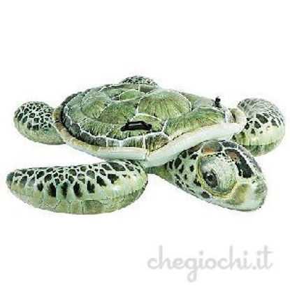 Immagine di Cavalcabile vera tartaruga, colore verde, dimensioni cm.191x170                                                                                                                                                                                                                                                                                                                                                                                                                                                     