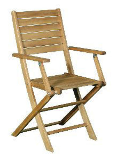 Immagine di sedia pieghevole con braccioli dimensioni cm.57x53 h. 92                                                                                                                                                                                                                                                                                                                                                                                                                                                            